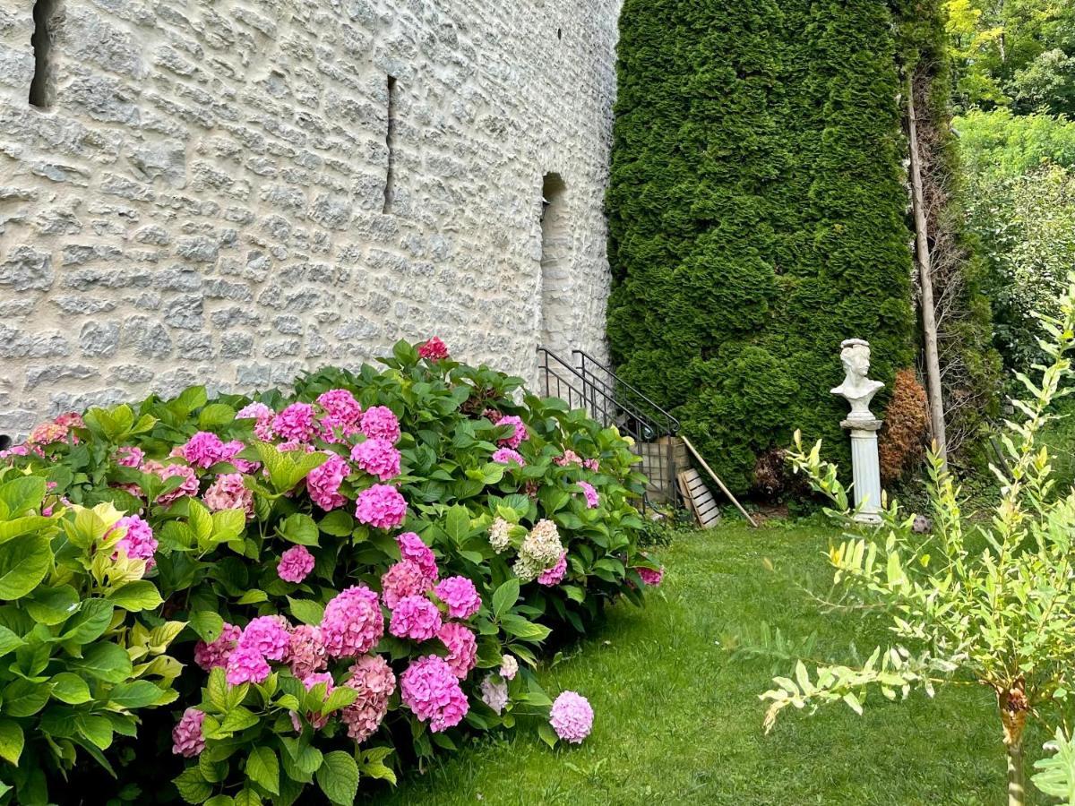 维勒塞瑟尔Manoir Saint-Pierre住宿加早餐旅馆 外观 照片