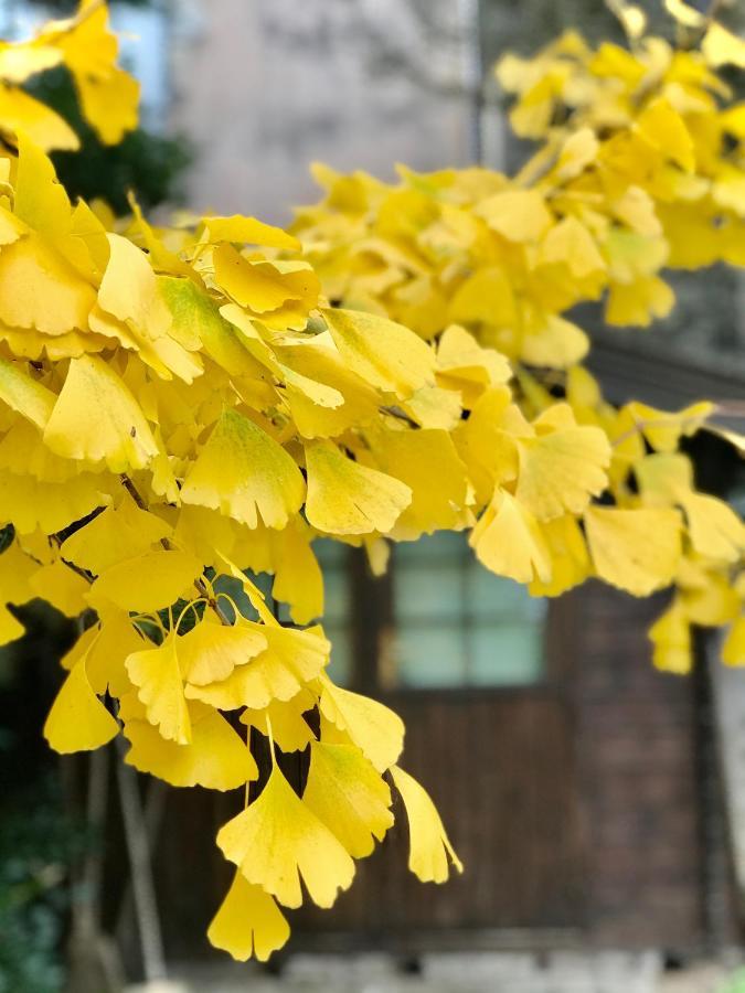 维勒塞瑟尔Manoir Saint-Pierre住宿加早餐旅馆 外观 照片